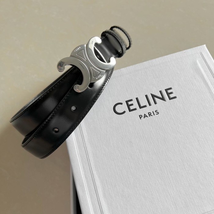 Evolving Landscape of Fashion With Celine Belts And Hoodies