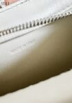 CELINE TILLY MEDIUM BAG IN WHITE CALFSKIN